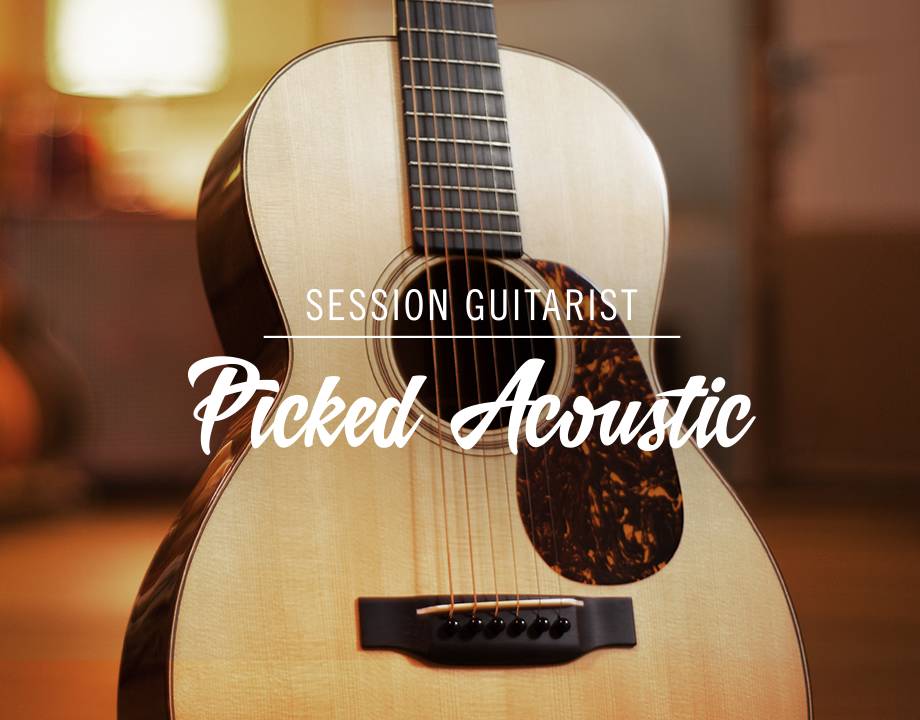 Native Instruments Session Guitarist - Picked Acoustic